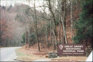 greatsmoky