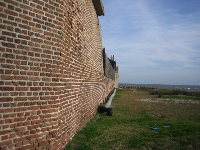 fortsumpter