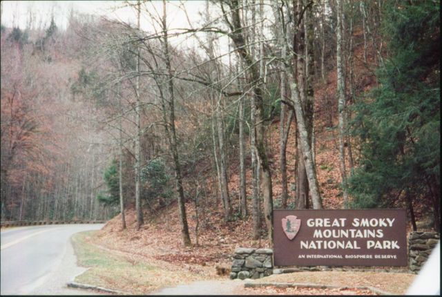 greatsmoky