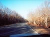 natcheztrace